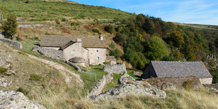 bassy cevennes