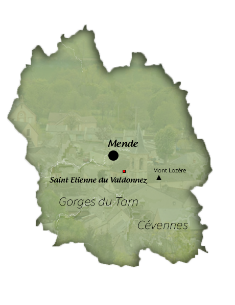 Carte de Saint Etienne du Valdonnez