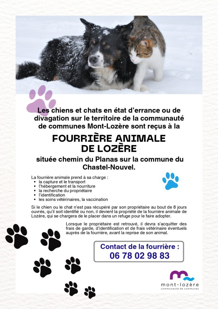Fourrière pour chats et chiens errants